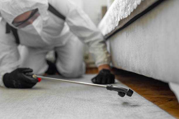 Professional Termite Control technician working in Downers Grove, IL