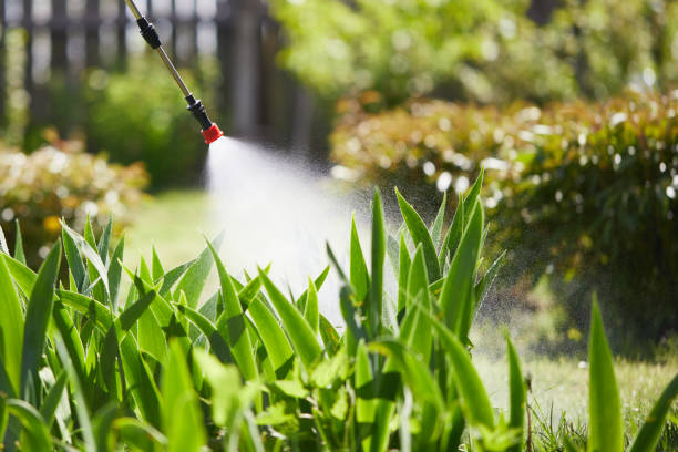24/7 Emergency Termite Control experts in Downers Grove, IL
