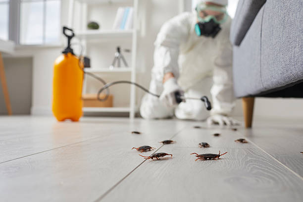 Trusted Fumigation Services service in Downers Grove, IL - Nex Pest Control