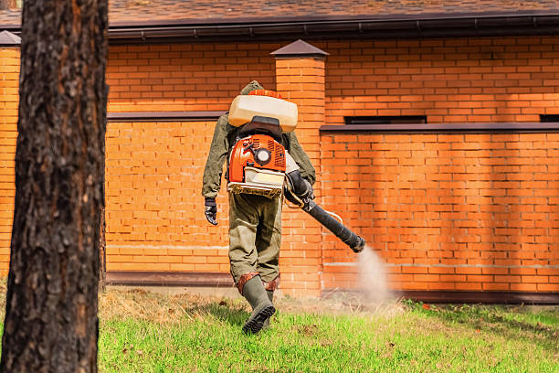 Trusted Mosquito Control service in Downers Grove, IL - Nex Pest Control